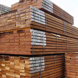 TROPİKAL WOOD